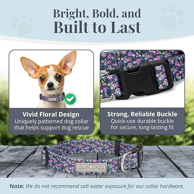 Lucky Love Dog, Comfortable, Soft, Cute Female Dog Collar for Tiny Dogs, Black & Purple Floral Print, Adjustable Nylon Collar, Primrose, XS