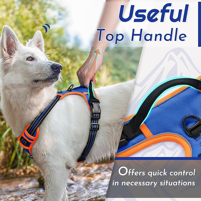 Eagloo Dog Harness Small Sized Dog, No Pull Service Vest with Reflective Strips and Control Handle, Adjustable and Comfortable for Walking, No Choke Pet Harness with 2 Metal Rings, Blue & Orange, S