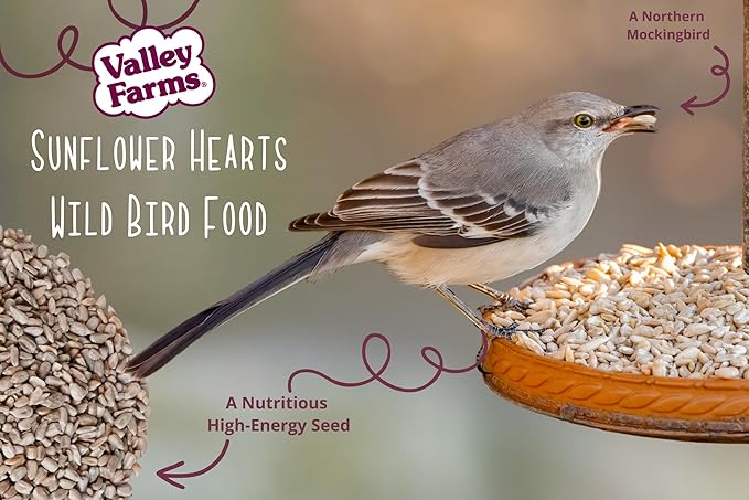 Valley Farms Whole Sunflower Hearts for Birds (40 LB) No Mess Bird Seed for Outside Feeders, Attract Finches, Cardinals, & More Wild Birds, Very Clean Sunflower Seeds