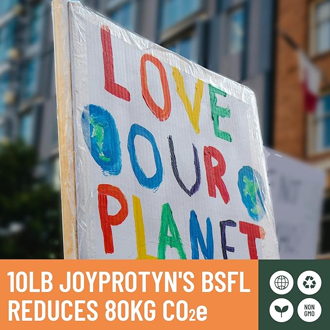 10LB Non-GMO Dried Black Soldier Fly Larvae for Chicken – 85X More Calcium Grubs Than Mealworms for Strong Eggshells & Healthy Growth - High Protein for Chickens, Birds, Ducks, Geese & Pets