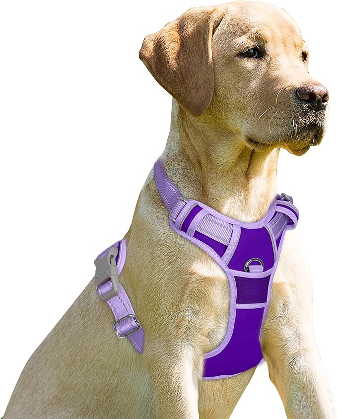 BARKBAY No Pull Dog Harness Front Clip Heavy Duty Reflective Easy Control Handle for Large Dog Walking(Violet Purple & Purple,S)