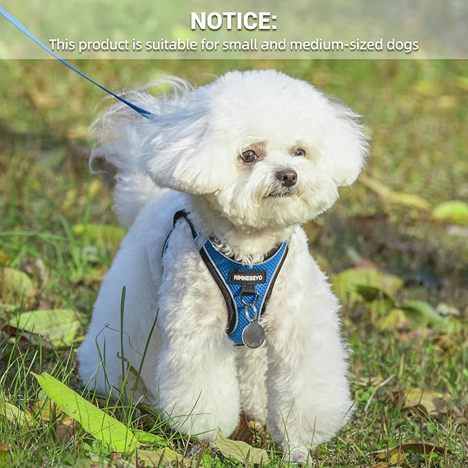 Dog Harness and Leash Set, Dog Harness for Dogs No Pull, No-Chock Step-in Reflective Breathable Lightweight Easy Walk Vest Harnesses with Safety Buckle for Small Medium Dogs, Cats (Blue, M)