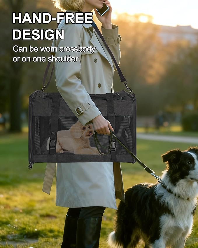 Soft-Sided Large Cat Carrier for 2 Cats, Spacious Foldable Pet Travel Carrier for Large Cats up to 25 Lbs, Double Cat Bag with Shoulder Strap, 20x13x13 Inch, Fits Maine Coon and Small Dogs, Black