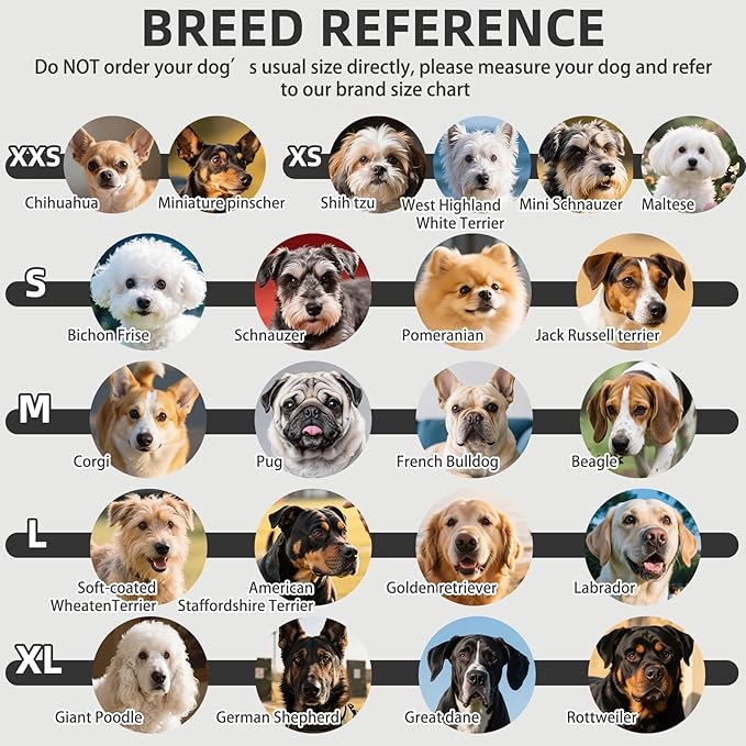 PUPTECK Anti Slip Dog Socks 2 Pairs with Double Grippers for Hardwood Floors, Shoes for Hot/Cold Pavement, Boots & Paws Protectors to Prevent Licking, Traction Booties for Senior Small Large Dogs