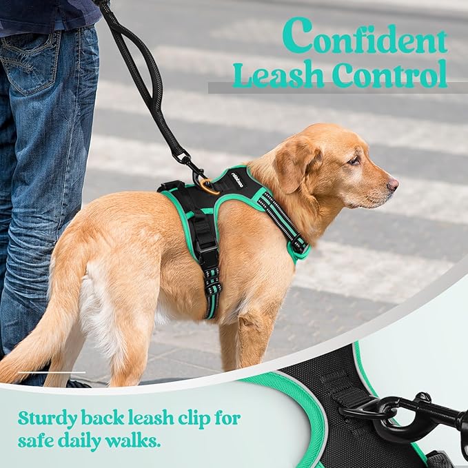 rabbitgoo Dog Harness No Pull with 2 Leash Clips, Adjustable Soft Padded, Reflective Oxford No Choke Pet Vest with Easy Control Handle for Small Dogs, Black & Turquoise, S