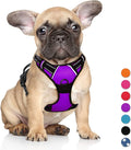 BARKBAY No Pull Dog Harness Large Step in Reflective Dog Harness with Front Clip and Easy Control Handle for Walking Training Running(Purple,S)