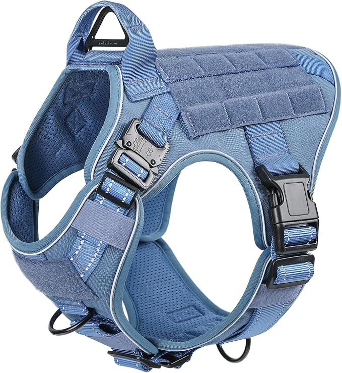 rabbitgoo Tactical Dog Harness Small Sized, No Pull Upgraded Reflective Heavy Duty Molle Vest with Handle, Adjustable Military Service Dog Vest for Walking Hiking Training, Blue, S