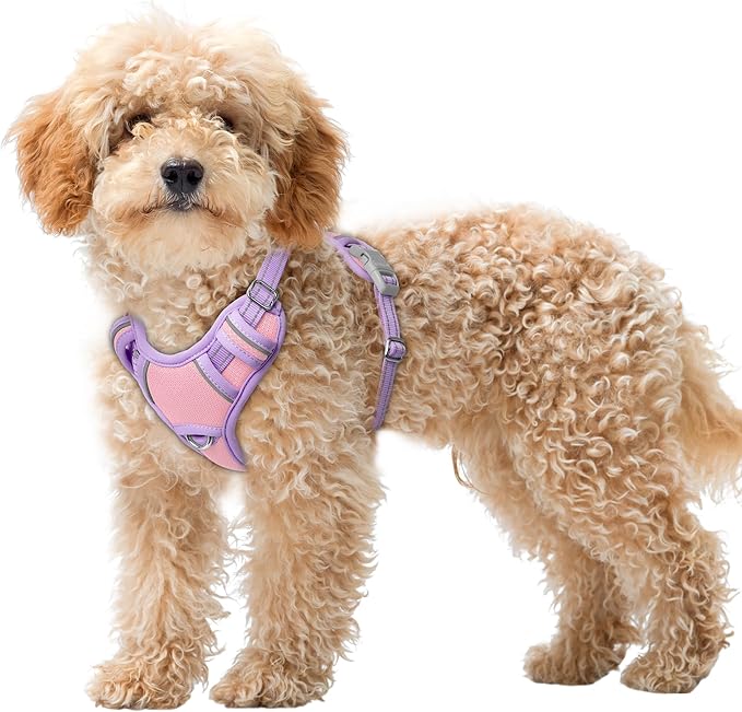 BARKBAY No Pull Dog Harness Large Reflective Dog Harness with Front Clip and Easy Control Handle for Walking Training Running with ID tag Pocket(Baby Pink & Violet Purple,XS)