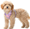 BARKBAY No Pull Dog Harness Large Reflective Dog Harness with Front Clip and Easy Control Handle for Walking Training Running with ID tag Pocket(Baby Pink & Violet Purple,XS)