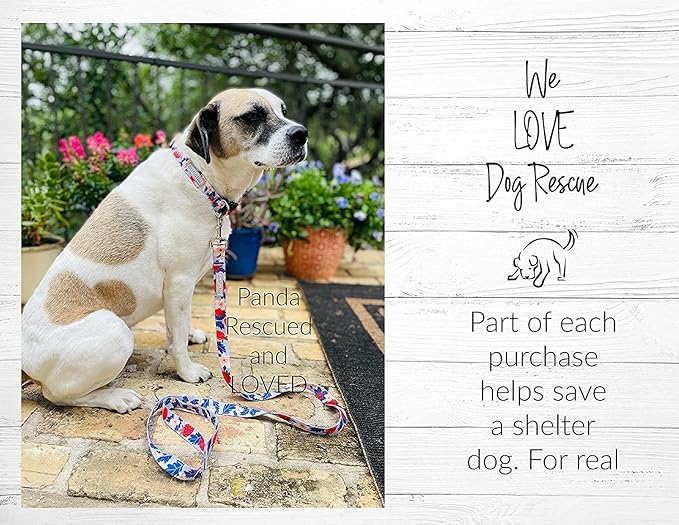 Lucky Love Dog - Adjustable Dog Collar with Easy Click Buckle for Small to Large Ones, Durable, & Comfortable for Male & Female Dogs, Pet Collar for Puppies & Adult Dogs - Sweet Berry, Medium