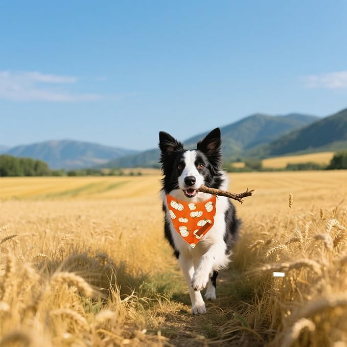 Realeaf Thanksgiving Fall Dog Bandanas 2 Pack, Orange Plaid Pumpkin Pet Scarf for Boy and Girl, Premium Durable Fabric, Holiday Halloween Bandana for Large and Extra Large Dogs(Fall, X-Large)