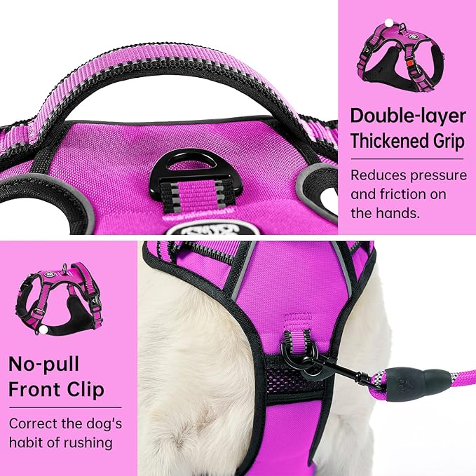 IVY&LANE No Pull Dog Harness for Small Dogs, Dog Vest Harness with Leash, Safety Belt and Storage Strap, Fully Adjustable Harness, 360° Reflective Strip, Soft Handle (Fuchsia Pink,S)