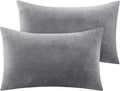 BEDELITE Flannel Pillowcases Standard Set of 2, Super Soft Fleece Pillow Case Cover with Zipper for Bedroom, Sofa, Couch,Luxury Cozy Fuzzy Velvet Pillow Shams for All Seasons(20x26 Inches, Gray)