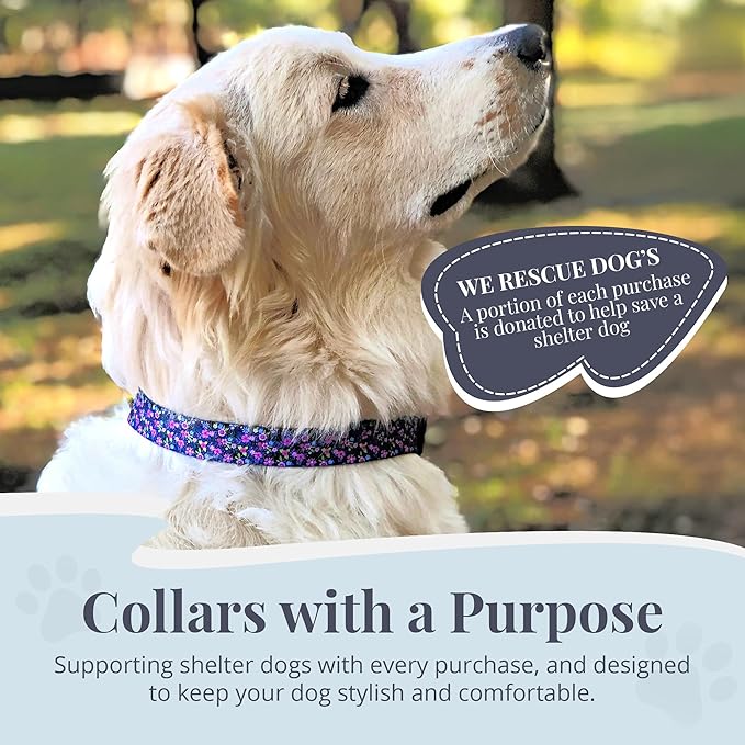 Lucky Love Dog - Adjustable Dog Collar with Easy Click Buckle for Small to Large Ones, Durable, & Comfortable for Male & Female Dogs, Pet Collar for Puppies & Adult Dogs - Primrose, Large