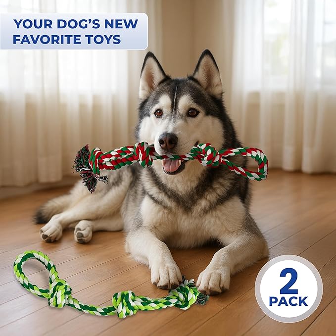 Pup Quartet Dog Rope Toy for Aggressive Chewers 2-Pack Tug of War Dog Toy with Thick Knots Heavy Duty Rop Toys for Dogs – Indestructible Rope Chew Toys for Medium & Large Dogs