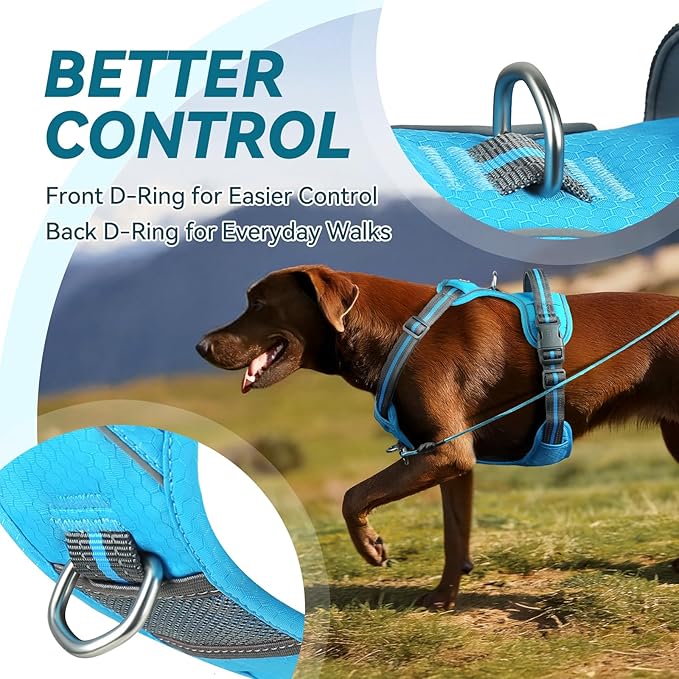 VIVAGLORY Dog Harness Easewalk No Pull Dog Harness with Handle & Front Back Clip for Training Lifting, Easy On Adjustable Padded No Pull for Pet & Puppy, L, Blue