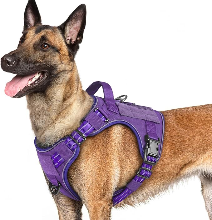 rabbitgoo Dog Harness for Large Dogs No Pull, Tactical Service Pet Vest with Molle and Control Handle, Adjustable and Reflective Military Harness for Easy Walking and Training, Purple, L