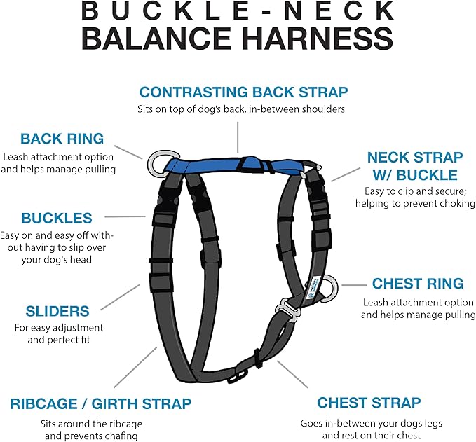 Blue-9 Buckle-Neck Balance Harness, Fully Customizable Fit No-Pull Harness, Ideal for Dog Training and Obedience, Made in The USA, Orange, Large