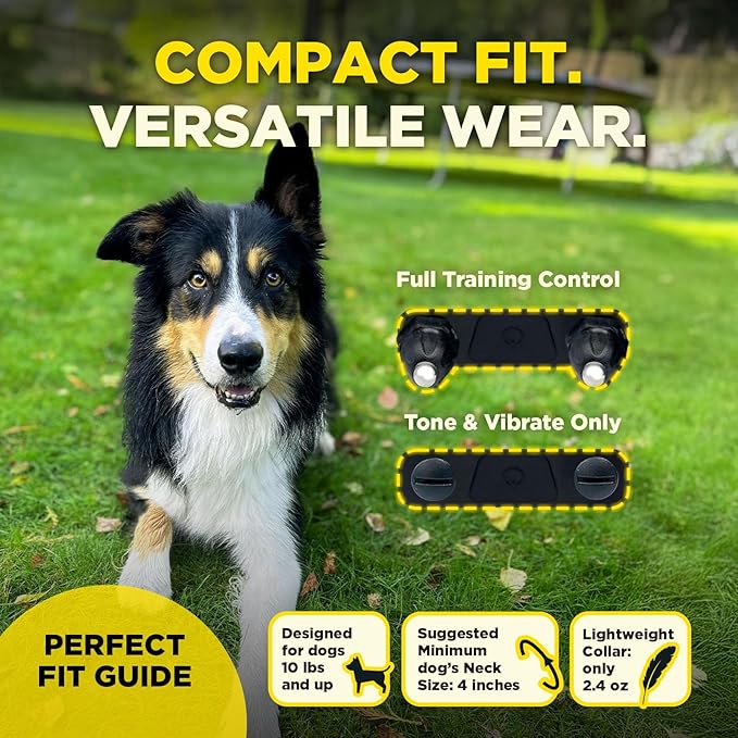 Dogtra 200iQ Remote Training E Collar – 100 Levels, Tone, Vibration, 1/2 Mile Range – Compact, Waterproof, One-Handed Control for Dogs 10 lbs+ – Lightweight Design for Daily Training – Cafe Swirl