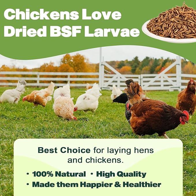 5LB Dried Black Soldier Fly Larvae, 86X Calcium Than Dried Mealworms, High Protein Non-GMO Organic Chicken Feed Reptile & Amphibian Food