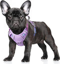 BARKBAY No Pull Dog Harness Large Reflective Dog Harness with Front Clip and Easy Control Handle for Walking Training Running with ID tag Pocket(Lavender Sky,S)