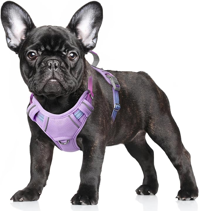BARKBAY No Pull Dog Harness Large Reflective Dog Harness with Front Clip and Easy Control Handle for Walking Training Running with ID tag Pocket(Lavender Sky,S)
