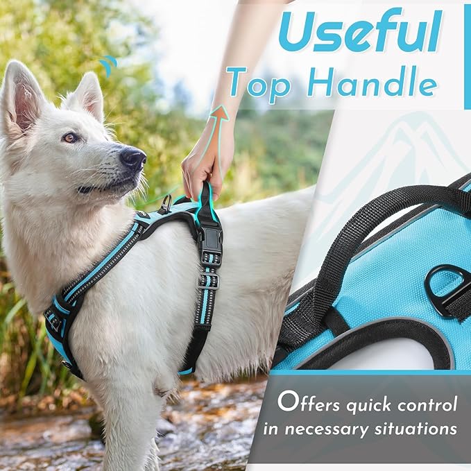 Eagloo Dog Harness Small Sized Dog, No Pull Service Vest with Reflective Strips and Control Handle, Adjustable and Comfortable for Walking, No Choke Pet Harness with 2 Metal Rings, Sky Blue, S