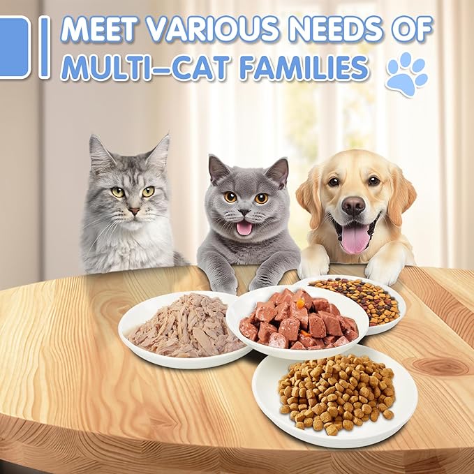 6 Pack Cat Food Bowl, Ceramic Cat Bowls, Anti Whisker Fatigue Cats Bowl,5.5 Inches Shallow Wide Kitten Plates for Food and Water (White)