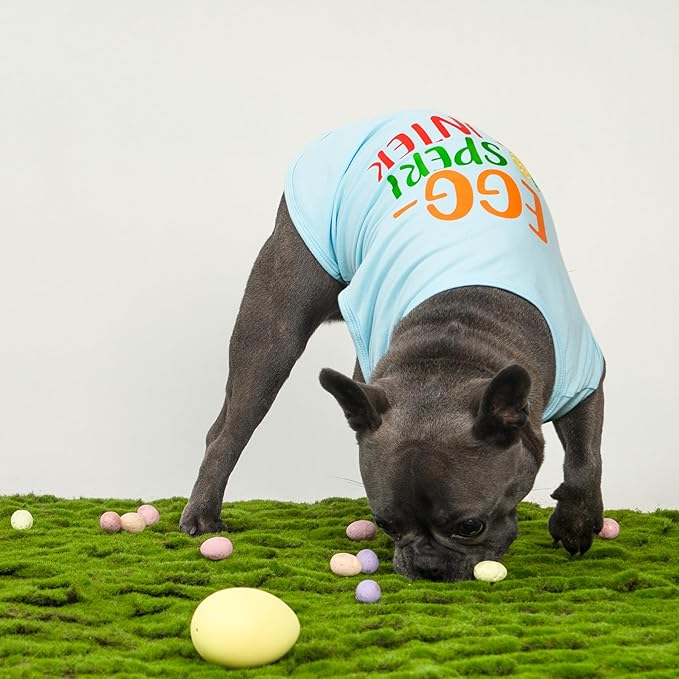 Fitwarm Egg-spert Hunter Dog Easter Outfit, Summer Clothes for Small Dogs Boy Girl, Pet Outfit, Blue, Red, Green, Orange, Large