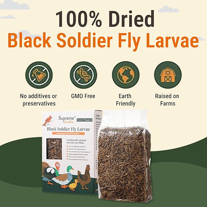 Natural Black Soldier Fly Larvae for Chickens, 85X More Calcium Than Mealworms-High Protein Grub Food Chicken Treats for Hens, Probiotic-Rich Chicken Feed, Calcium-Dense Bird Treat 5lb