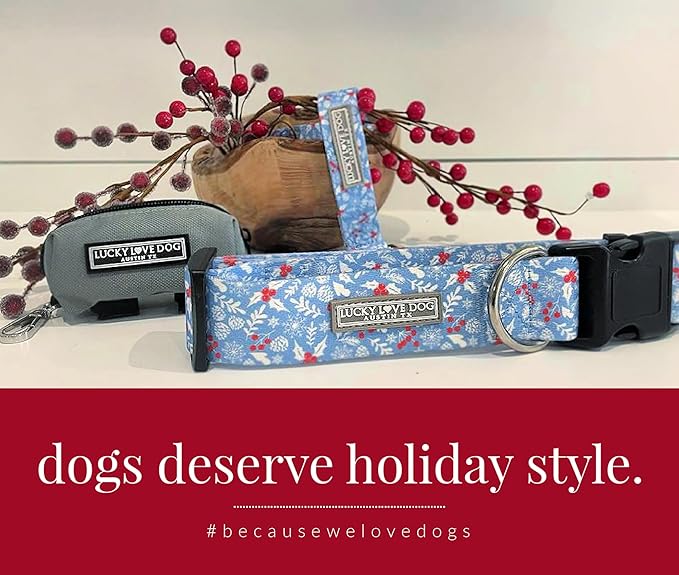 Lucky Love Dog - Adjustable Dog Collar with Easy Click Buckle for Small to Large Dogs, Durable, & Comfortable for Male & Female Dogs, Pet Collar for Puppies & Adult Ones - Winterblue, Medium