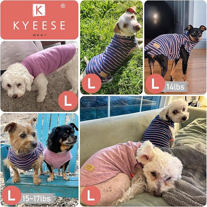 KYEESE 2Pack Dog Sweater Pullover Dog Sweaters for Small Dogs Girl Soft Dogs Clothes Stretchy Pet Sweatshirt Warm Dachshund Clothes Small Pets Sweaters Turtleneck Pet Coats