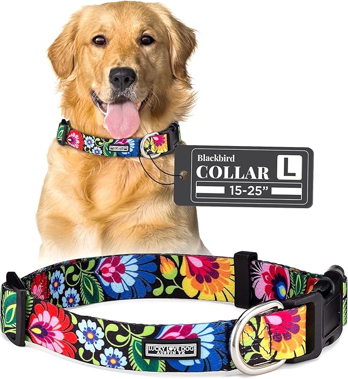 Lucky Love Dog - Adjustable Dog Collar with Easy Click Buckle for Small to Large Ones, Durable, & Comfortable for Male & Female Dogs, Pet Collar for Puppies & Adult Dogs - Blackbird, Large