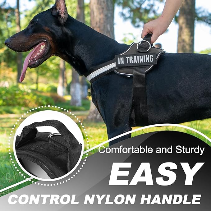 Essential Dog Harness with 3 Leash Clips - No-Pull, Adjustable, Comfortable Pet Vest Harness for Small to Large Dogs - Easy On, No Choke, Reflective, Padded Harness for Walking and Training