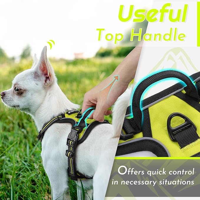 Eagloo Small Dog Harness No Pull, Service Vest with Reflective Strips and Control Handle, Adjustable and Comfortable for Walking, No Choke Pet Harness with 2 Metal Rings, Green, XS