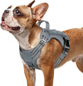 rabbitgoo Dog Harness Small Sized No Pull, Tactical Service Pet Vest with Molle and Control Handle, Adjustable and Reflective Military Harness for Easy Walking and Training, Grey, S
