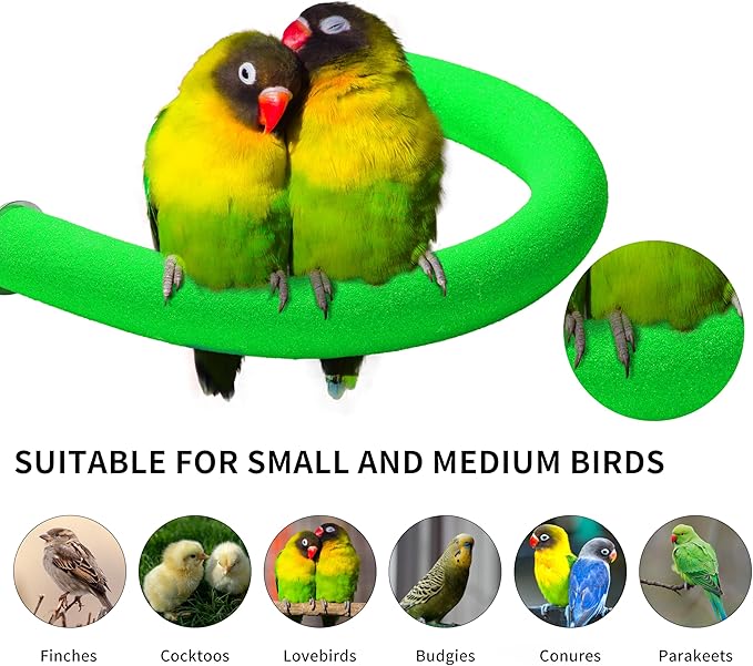 U Shape Parrot Perch Stand Toy Bird Platform Sand Paw Grinding Clean Stick Exercise Conure Budgie Cockatiel Cage Accessories (Green)