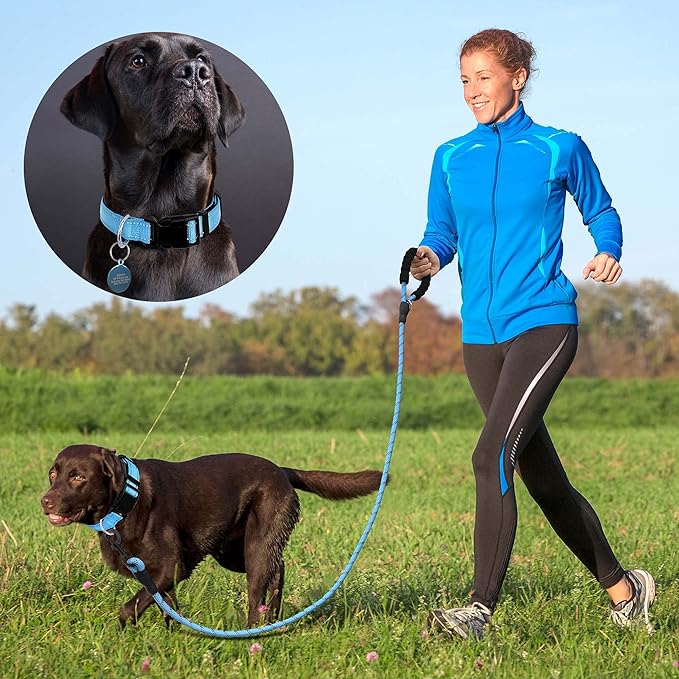 Reflective Dog Collar Padded with Soft Neoprene Breathable Adjustable Nylon Dog Collars for Small Medium Large Dogs (Small (Pack of 1), Vivid Blue Collar+Leash)