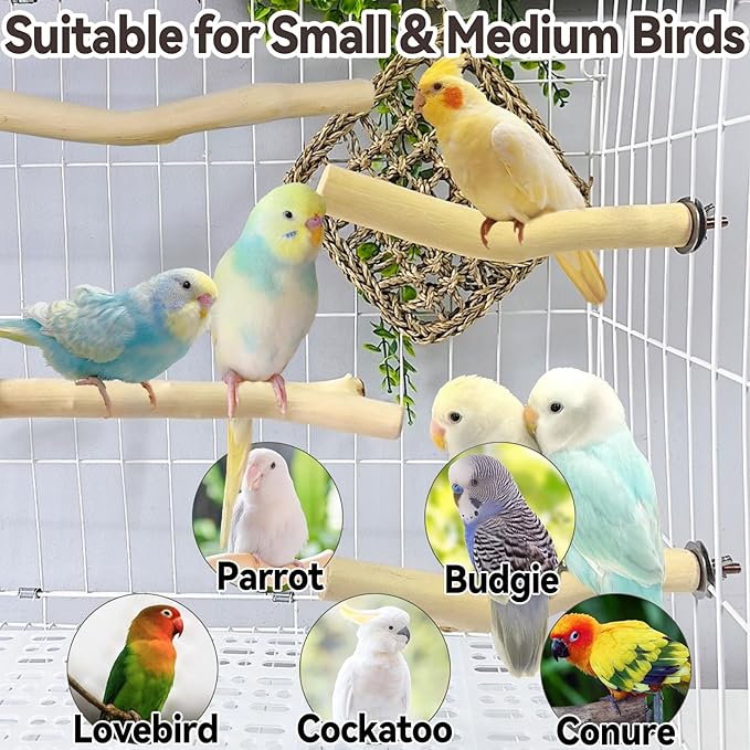 Hamiledyi 4Pcs Natural Wooden Bird Branch Wood Perch Stand Parrot Stand Stick Paw Grinding Cage Accessories for Parrots Parakeets Cockatiels Conures Lovebirds.(8x1in)