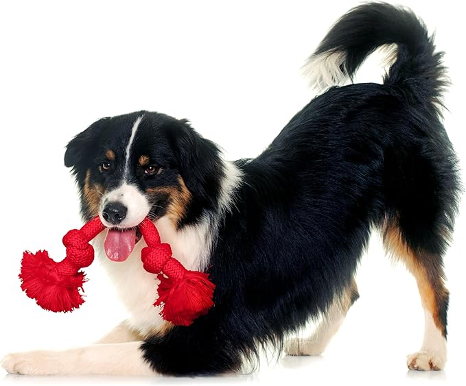 Playology Dog Toys | Dri-Tech Rope Toy Tug of War Rope for Aggressive Chewers | Medium Beef Scented Toy - Easy to Clean and Made from Non Toxic Materials