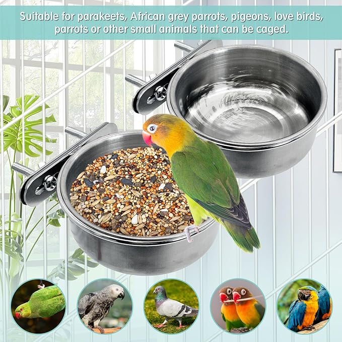 PINVNBY 2PCS Stainless Steel Bird Bowl Parrot Food Water Bowls with Clamp Holder Bird Feeder Dish Cups Crate Bowls for Cockatiel Pigeons Conure Budgies African Greys (Double Screws Size: L)