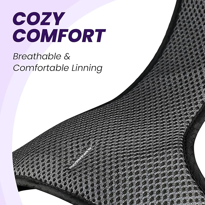 VIVAGLORY Dog Harness Easewalk No Pull Dog Harness with Handle & Front Back Clip for Training Lifting, Easy On Adjustable Padded No Pull for Pet & Puppy, L, Purple