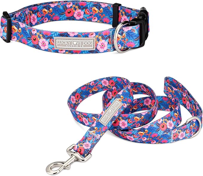Lucky Love Dog - Easy Click Buckle Dog Collar with Leash Set Combo, Durable & Comfortable for Male & Female Dogs, Pet Collar for Small to Large Dogs, Secure Fit - Zuzu Combo, XL