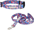 Lucky Love Dog - Easy Click Buckle Dog Collar with Leash Set Combo, Durable & Comfortable for Male & Female Dogs, Pet Collar for Small to Large Dogs, Secure Fit - Zuzu Combo, XL