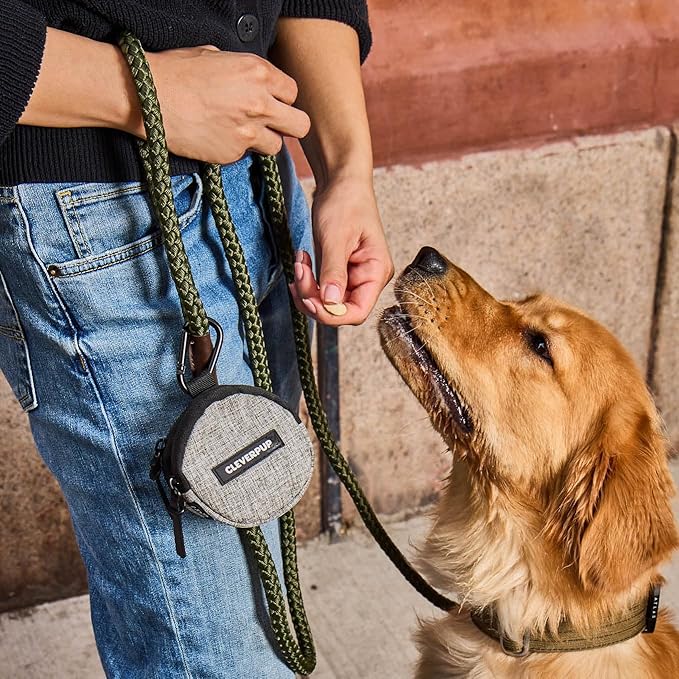 Snackpack Double Insulated Dog Treat Pouch - Holds 1.5 Cups - Dog Training and Walks Snack Bag, Two Pockets for Dry or Wet Treats, Attaches to Leash, Belt, or Bag - Heather Grey