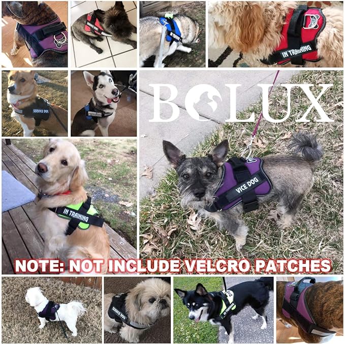 Bolux Dog Harness, No-Pull Reflective Dog Vest, Breathable Adjustable Pet Harness with Handle for Outdoor Walking - No More Pulling, Tugging or Choking (Dark Green, S)