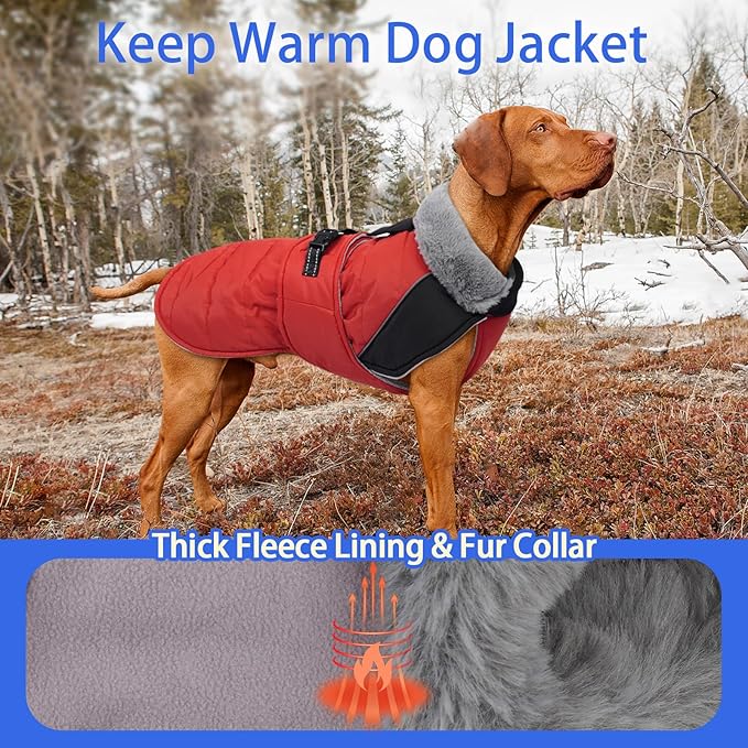 MIGOHI Warm Dog Jacket - Waterproof Small Dog Coat with Furry Collar, Windproof Dogs Fleece Vest, Reflective Cold Weather Coats for Small Dogs, Adjustable Buckle, Poodle,S,RedBlack