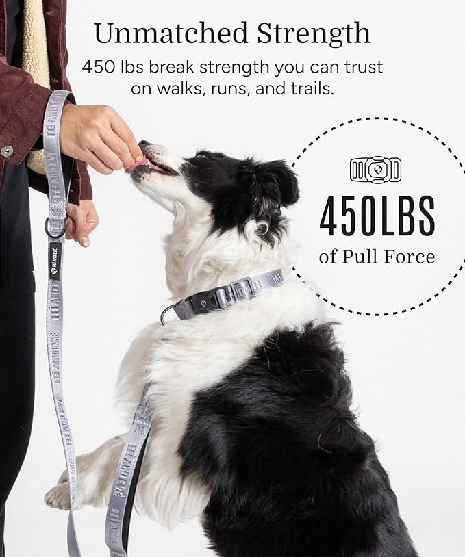 2025 New Edition, Fei & Eve MagEase Dog Collar - Patented Magnetic Buckles | Fur-Safe | Premium 210D Nylon | 450LB Escape-Proof | Adjustable Fit | Large (Twilight Gray)