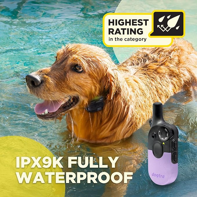 Dogtra 200iQ Remote Training E Collar – 100 Levels, Tone, Vibration, 1/2 Mile Range – Compact, Waterproof, One-Handed Control for Dogs 10 lbs+ – Lightweight Design for Daily Training – Lavender
