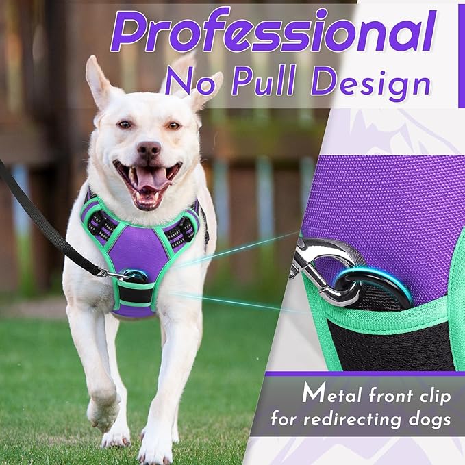 Eagloo Dog Harness Small Sized Dog, No Pull Service Vest with Reflective Strips and Control Handle, Adjustable and Comfortable for Walking, No Choke Pet Harness with 2 Metal Rings, Purple & Green, S